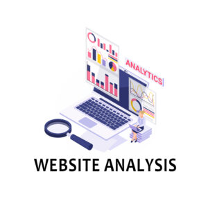 Website Analysis_